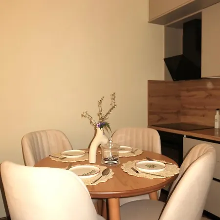 Hill Villa Tirana